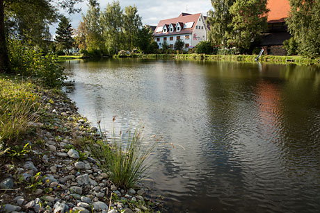 Entschlammung des südlichen Weihers in Heiligkreuztal