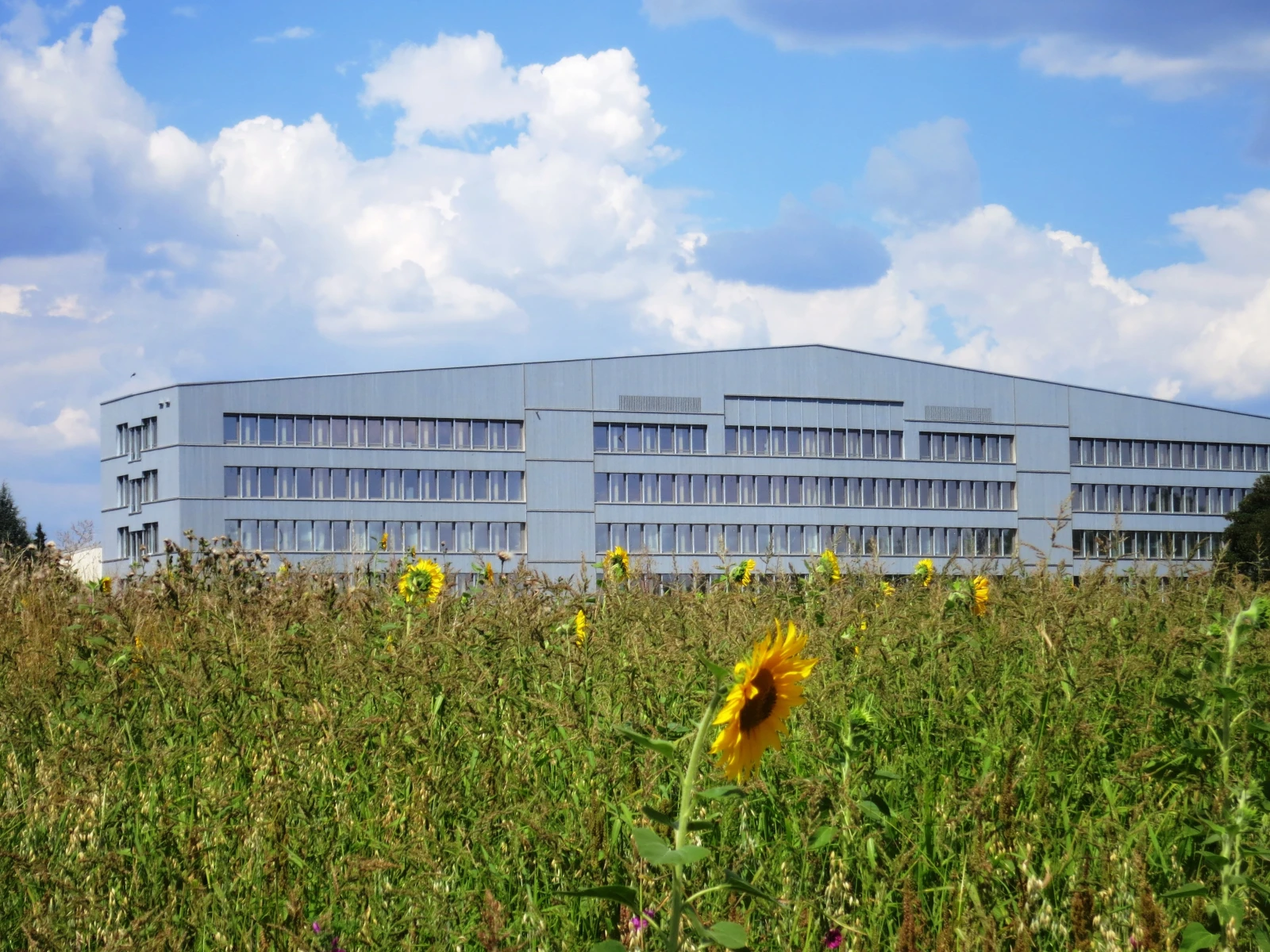 Dienstleistungszentrum Lenting